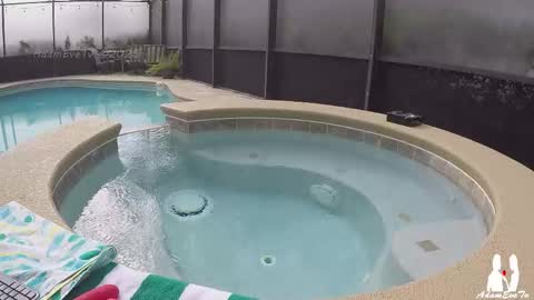 Adam And Eve online show from 23, 11, 2025