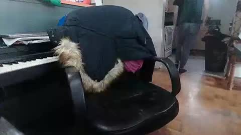 Snapshot of adamk3 chatting on 18, 2, 2026 Adam and Logan online show from 18, 2, 2026