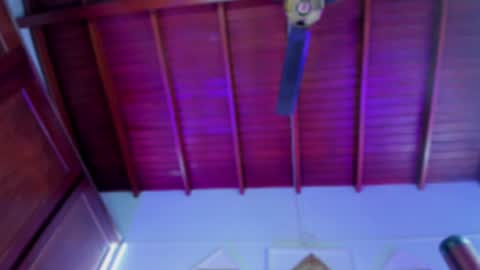 adeline online show from 17, 12, 2024