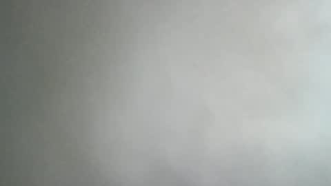 Snapshot of adi2019 chatting on 8, 1, 2025 adi2019 online show from 8, 1, 2025