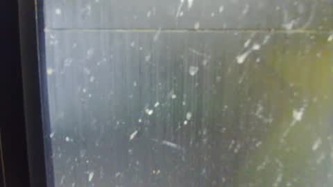 Snapshot of adiraxo chatting on 13, 10, 2025 adiraxo online show from 13, 10, 2025