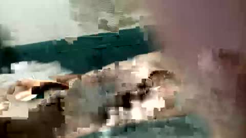 Snapshot of adrodiarellano chatting on 13, 10, 2025 adrodiarellano online show from 13, 10, 2025