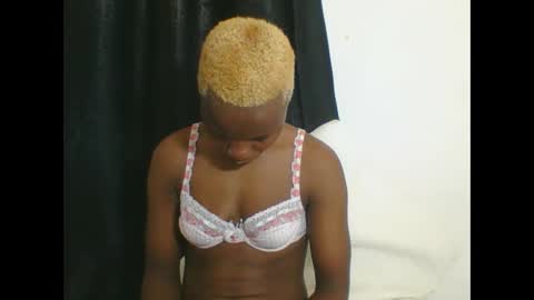 PHOEBE online show from 6, 10, 2025