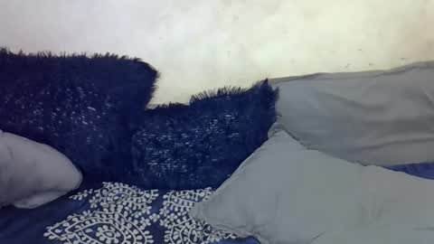 afrii_kity online show from 17, 4, 2026