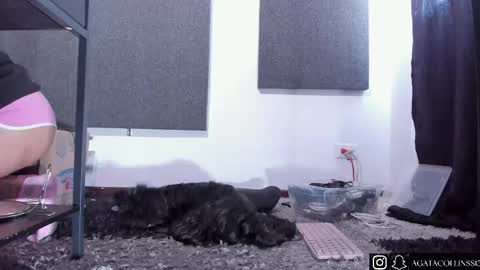 Agata Collinss online show from 14, 4, 2026