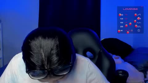 Cat online show from 10, 1, 2026