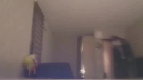 Snapshot of ahbehbi12 chatting on 10, 3, 2025 ahbehbi12 online show from 10, 3, 2025