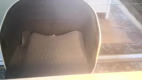 Ole online show from 10, 1, 2025