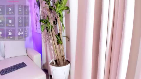   online show from 19, 12, 2025