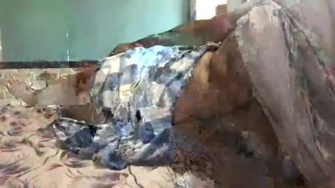 BigHairyGuy online show from 16, 12, 2024