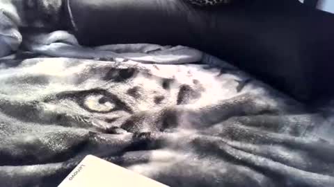 Snapshot of aken4it chatting on 2, 4, 2026 aken4it online show from 2, 4, 2026