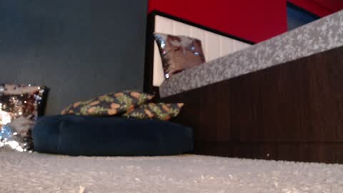 Alanna online show from 4, 12, 2024