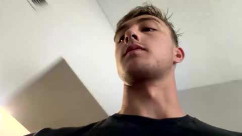 alaskanhorse online show from 19, 2, 2026