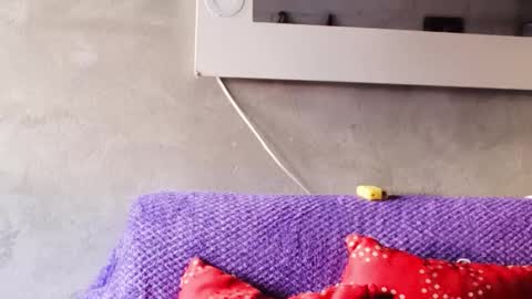 alasska_18 online show from 25, 10, 2025