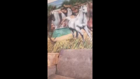 albina online show from 24, 2, 2026