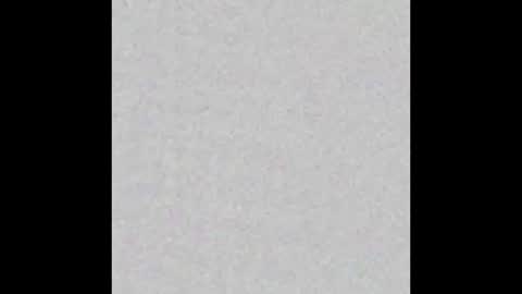 alexa online show from 3, 12, 2024