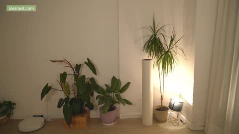 Ale online show from 6, 4, 2026