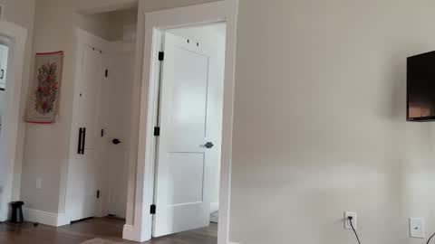 alex  online show from 22, 10, 2025