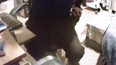 Snapshot of alex81pv1981 chatting on 8, 12, 2024 alex81pv1981 online show from 8, 12, 2024