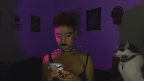 Alex online show from 14, 7, 2026