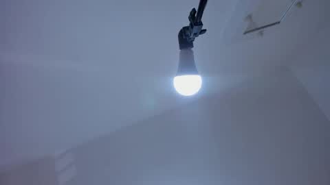 Alexa  online show from 3, 12, 2024