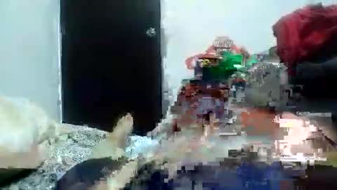 Alexamdergal online show from 11, 1, 2025