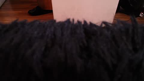 Snapshot of alexamoon__ chatting on 7, 12, 2024 Alexa Moon online show from 7, 12, 2024