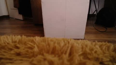 Snapshot of alexamoon__ chatting on 10, 12, 2024 Alexa Moon online show from 10, 12, 2024