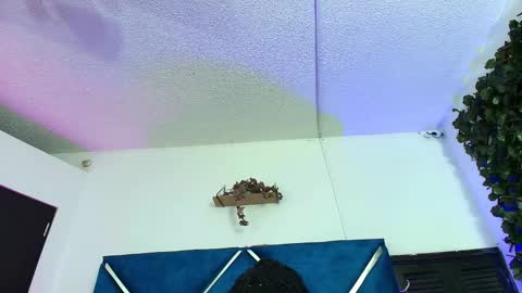 Alexa online show from 24, 2, 2026