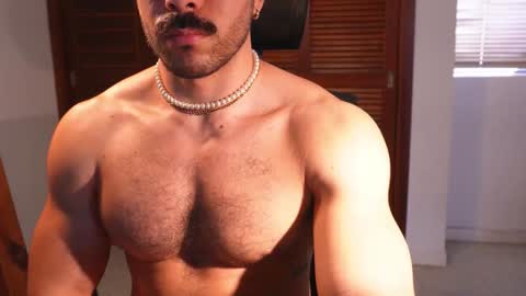 Snapshot of alexdimartino chatting on 6, 12, 2024 Alex Dimartino online show from 6, 12, 2024