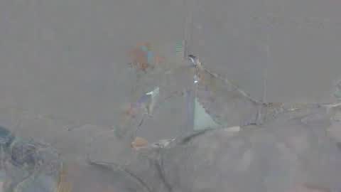 Alexsmith9876 online show from 2, 4, 2026