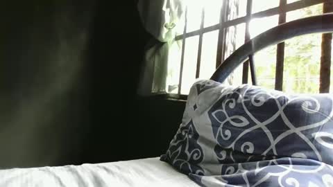 Snapshot of alextico1 chatting on 29, 12, 2024 Alex online show from 29, 12, 2024