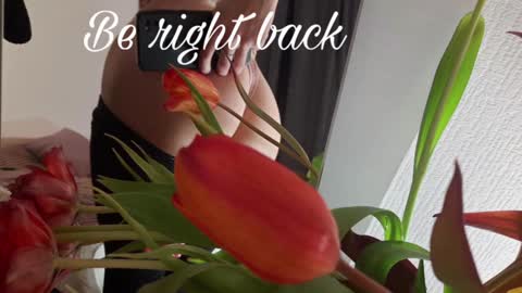 alice_dias online show from 26, 12, 2024