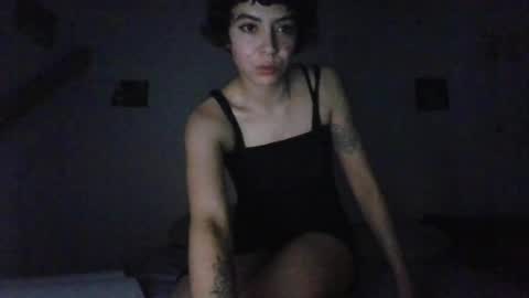 alice_fairy_ online show from 23, 7, 2026