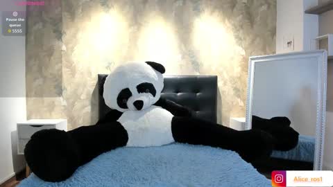 Alice  online show from 6, 10, 2025