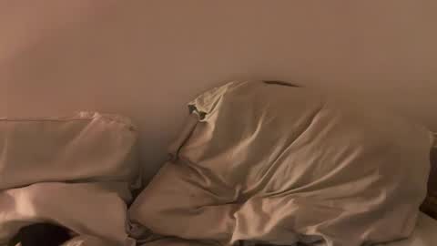 Snapshot of alicehugo chatting on 27, 1, 2025 alicehugo online show from 27, 1, 2025