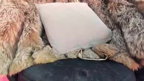 ALICE  online show from 20, 11, 2025