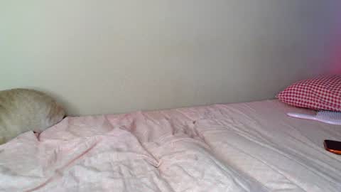 Snapshot of alicerabdit chatting on 18, 7, 2026 Alice online show from 18, 7, 2026