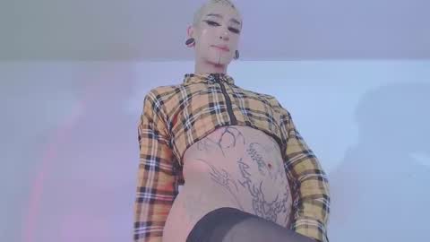     online show from 11, 2, 2026