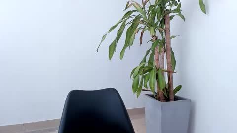 Snapshot of aliice_greco chatting on 26, 10, 2025 Alice online show from 26, 10, 2025