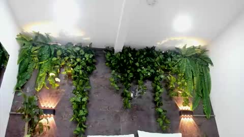 Alice online show from 1, 2, 2026