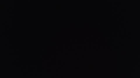     online show from 10, 11, 2025