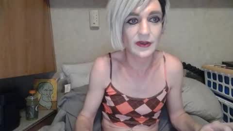 Alisha online show from 4, 6, 2026