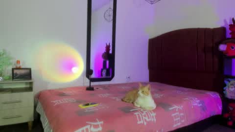 Alisson IG alisson zafiro27 online show from 17, 12, 2024