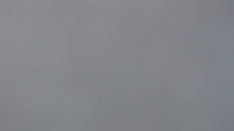 Snapshot of aliuno12345678 chatting on 29, 12, 2024 aliuno12345678 online show from 29, 12, 2024