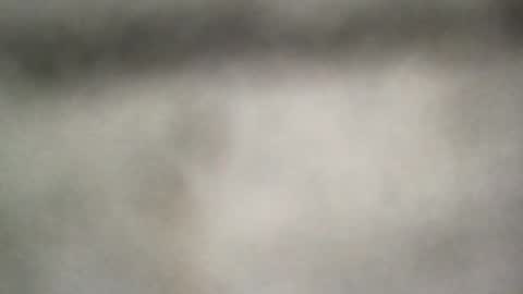 Snapshot of all_most_sane chatting on 25, 6, 2026 all_most_sane online show from 25, 6, 2026