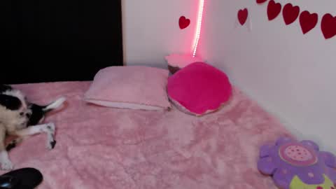 Lola online show from 23, 2, 2025