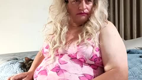 Stormy Day  online show from 20, 7, 2026