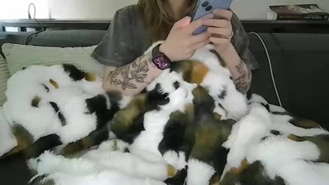Snapshot of alliebearx chatting on 28, 4, 2026 alliebearx online show from 28, 4, 2026