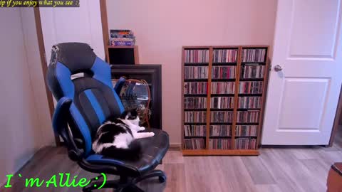 Snapshot of alliekat62 chatting on 29, 12, 2024 Allie online show from 29, 12, 2024